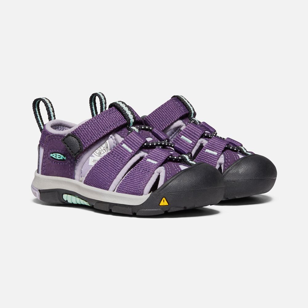 Sandales Keen Enfant Violette | Newport H2 | CXIFO-0173